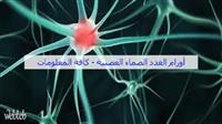أورام الغدد الصماء العصبية - كافة المعلومات.