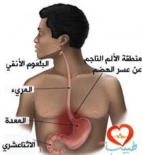 فوائد المشي النشط المنتظم